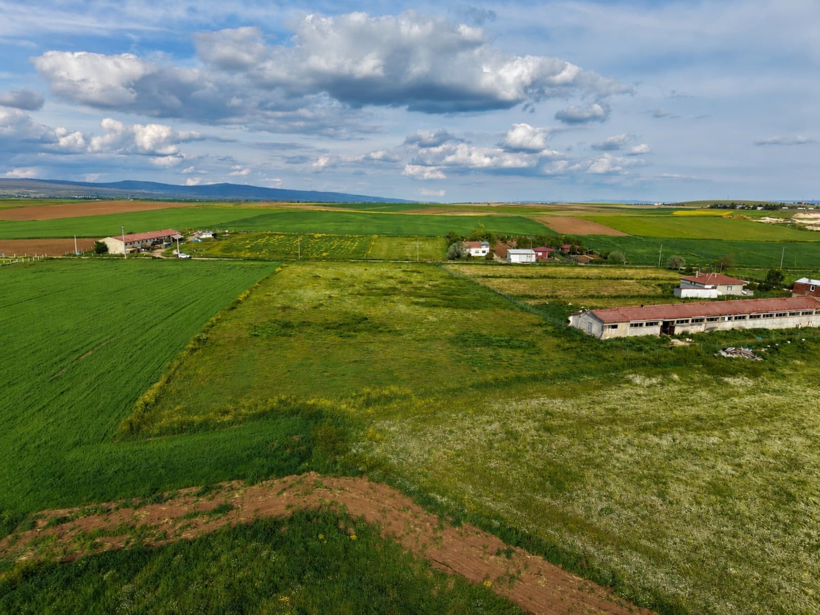 KW ALLES'TEN HİSAR MAHALLESİNDE 8785 m² SATILIK TARLA - 1